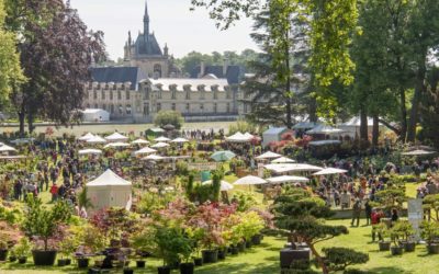 Retrouvez Denis Augé et ses créations  au Chateau de Chantilly du 13 au 15 mai 2022